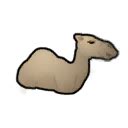 rimworld rideable animals|Dromedary .